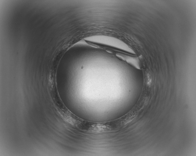 X0000073400607200608111301