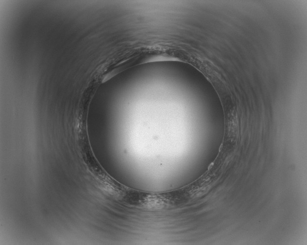 X0000073400608200608111301
