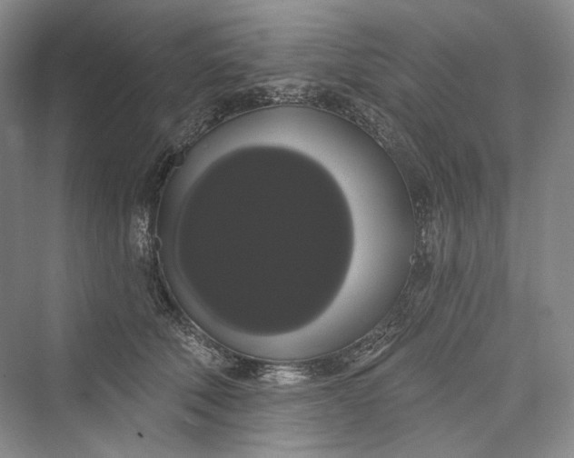 X0000073400610200608111301
