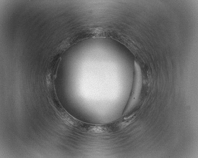 X0000073400611200608111301