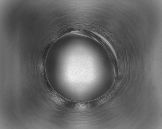 X0000073400613200608111301