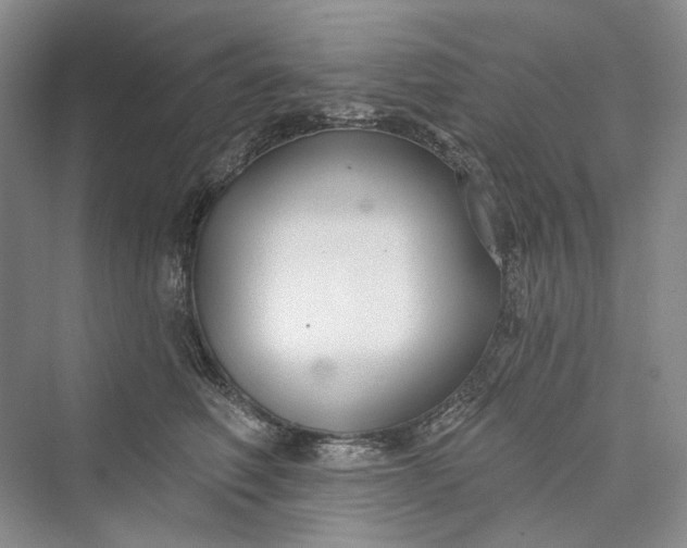 X0000073400614200608111301