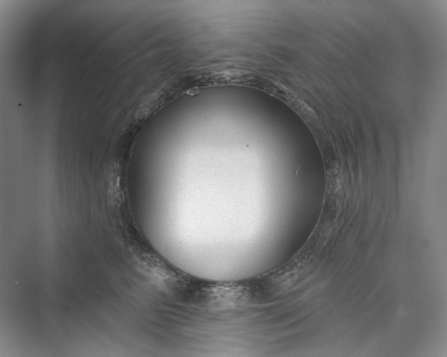 X0000073400615200608111301