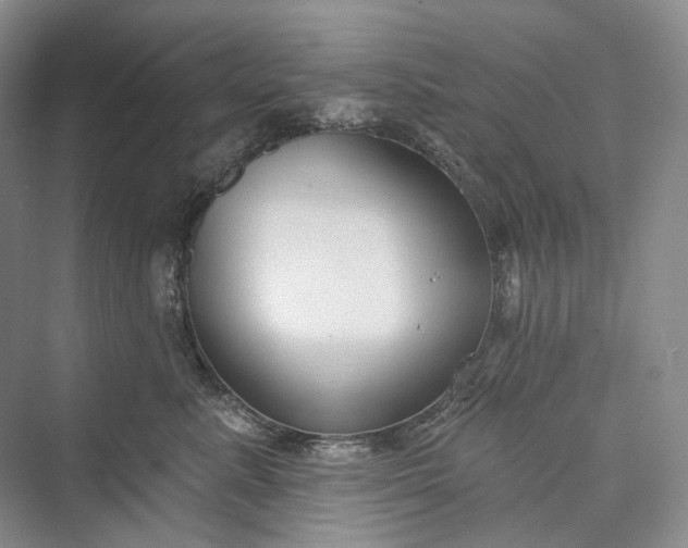 X0000073400619200608111300