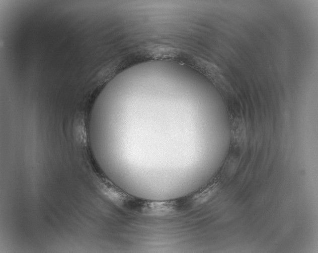 X0000073400622200608111300