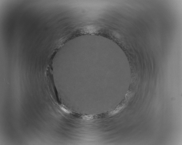 X0000073400624200608111300