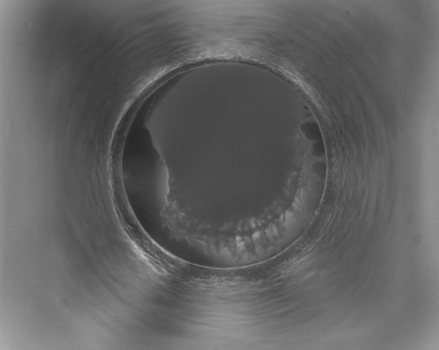 X0000073400626200608111300