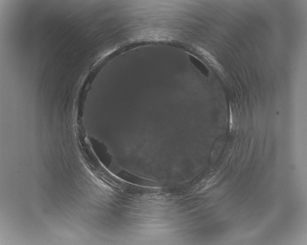 X0000073400627200608111300