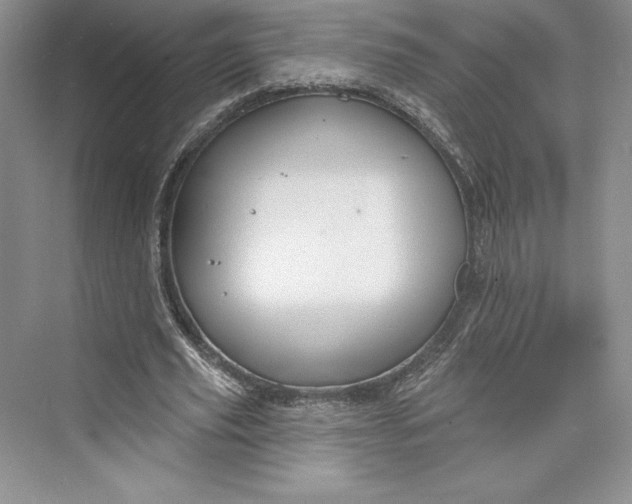 X0000073400629200608111300