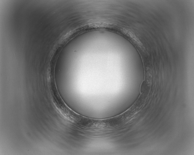 X0000073400631200608111300