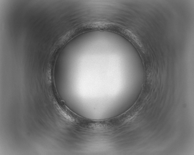 X0000073400633200608111300