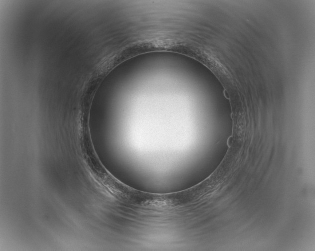 X0000073400639200608111300