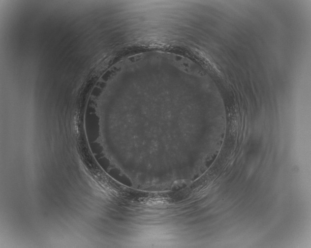 X0000073400643200608111300