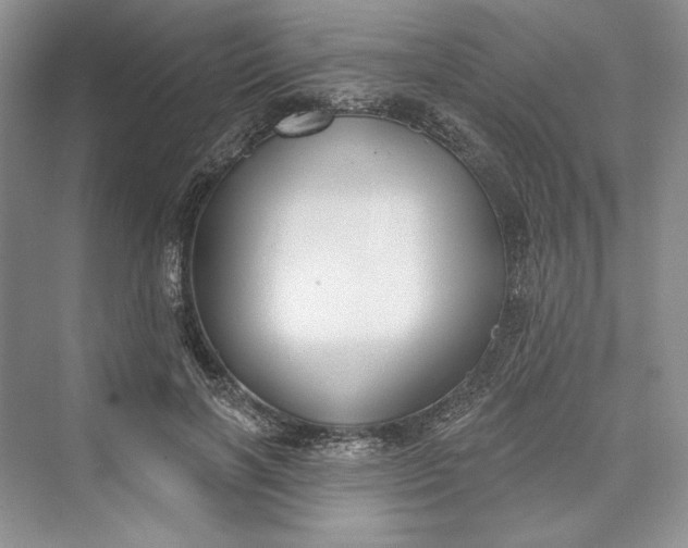 X0000073400646200608111300