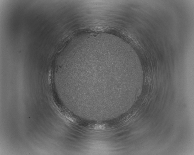 X0000073400647200608111300