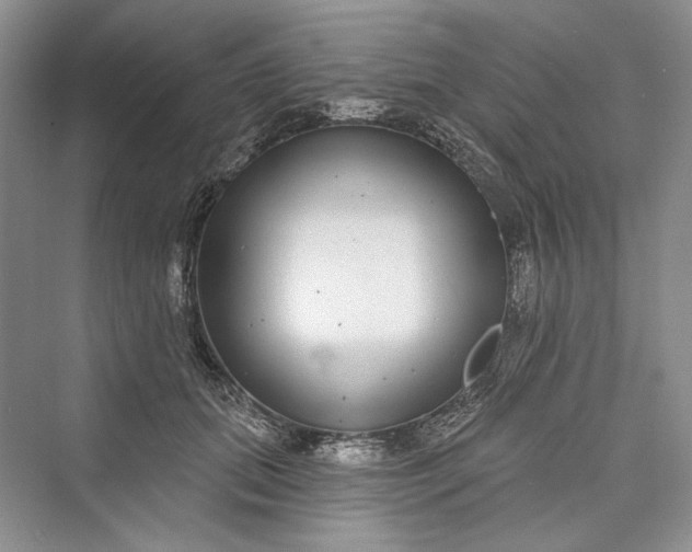 X0000073400655200608111300