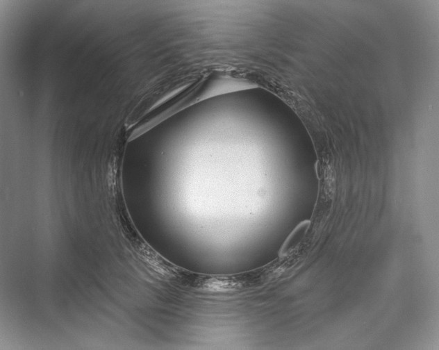 X0000073400657200608111300