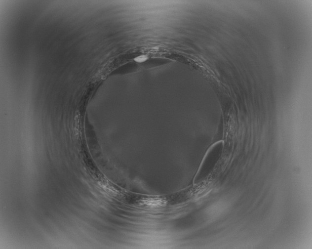 X0000073400659200608111300