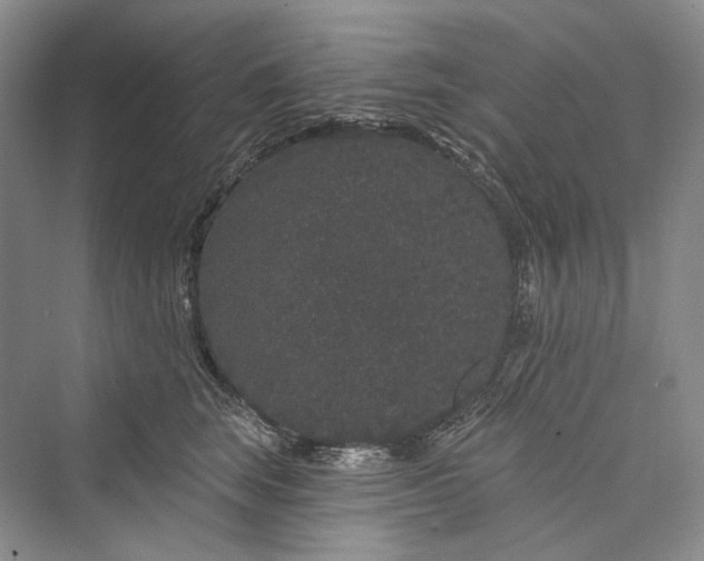 X0000073400663200608111300