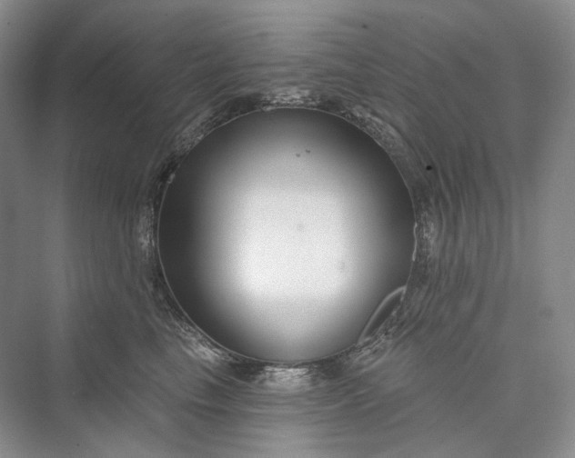 X0000073400665200608111300