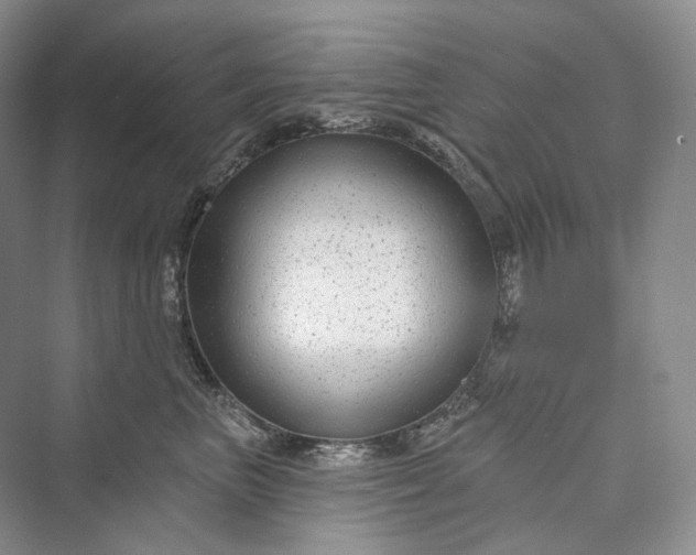 X0000073400667200608111300