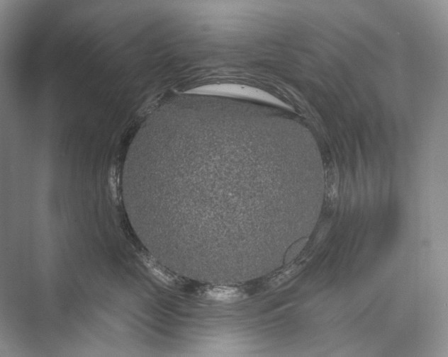 X0000073400669200608111300