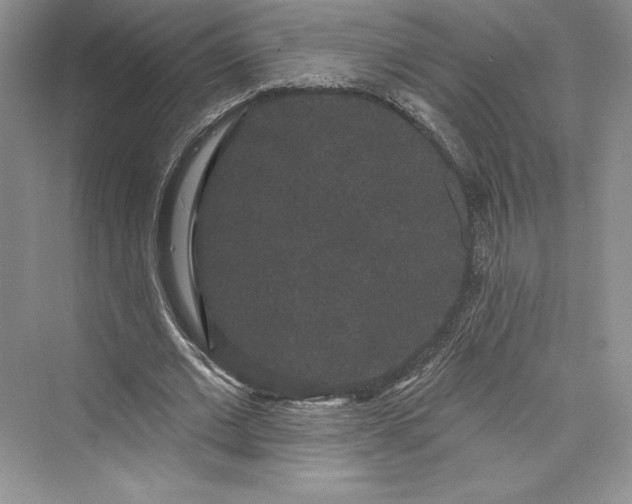 X0000073400677200608111259