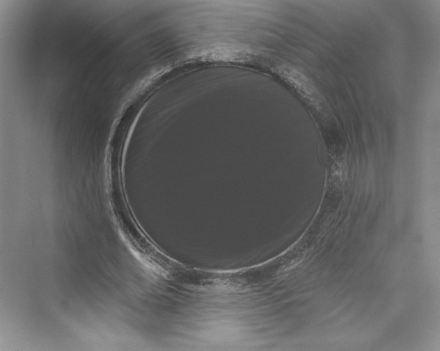 X0000073400678200608111259