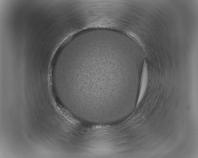 X0000073400680200608111259