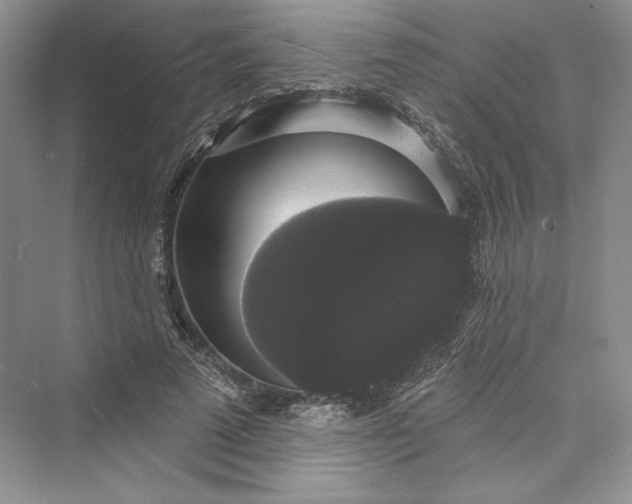 X0000073400689200608111259