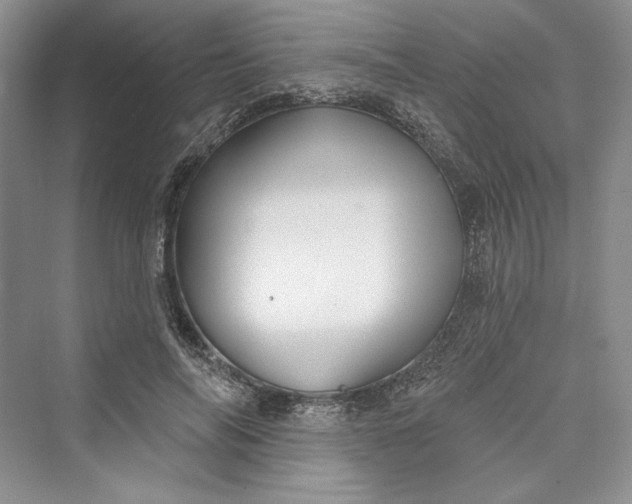 X0000073400694200608111259