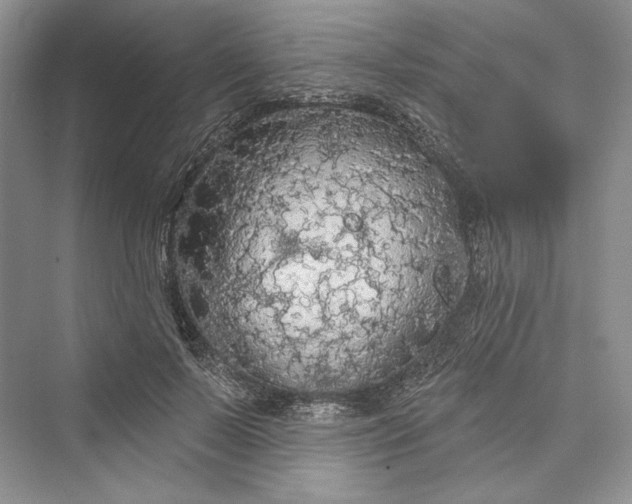 X0000073400695200608111259