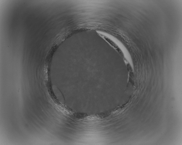X0000073400696200608111259