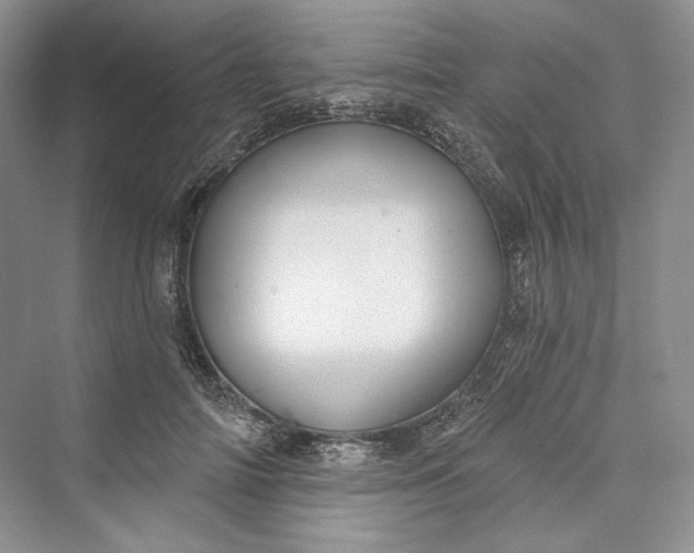 X0000073400698200608111259