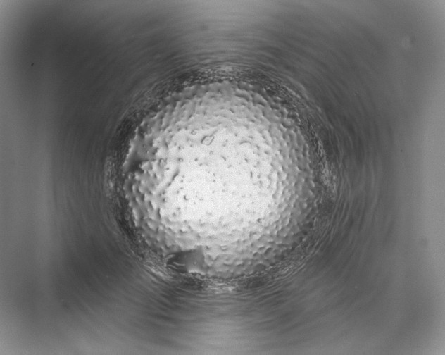 X0000073400701200608111259