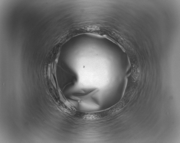 X0000073400704200608111259