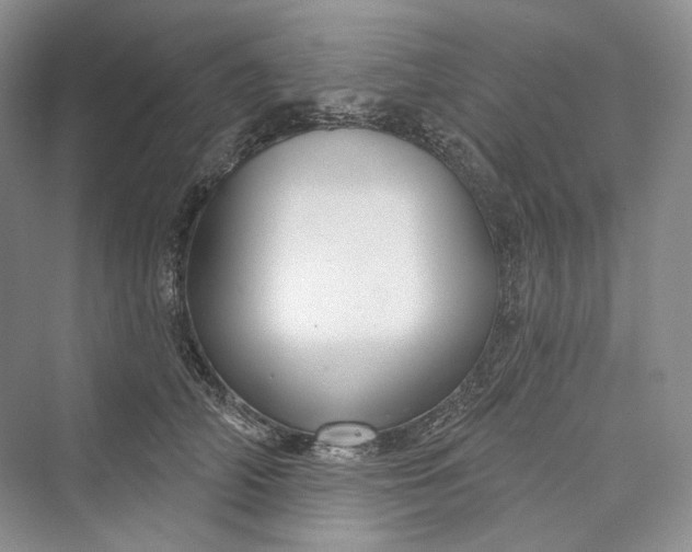X0000073400706200608111259