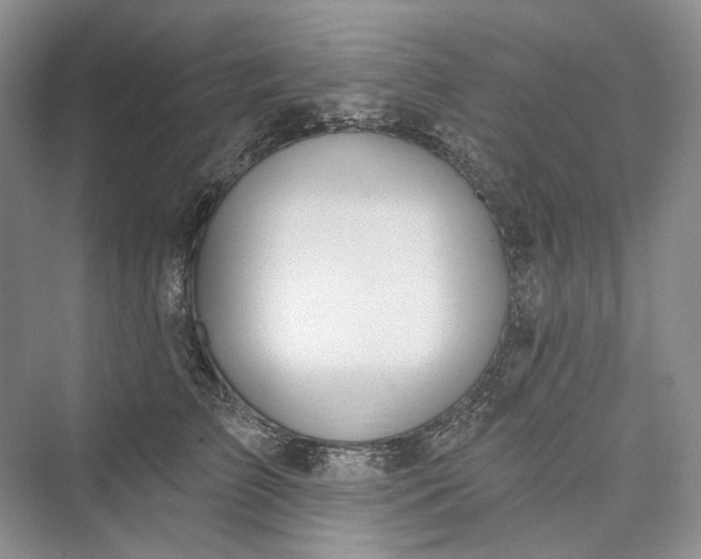 X0000073400709200608111259