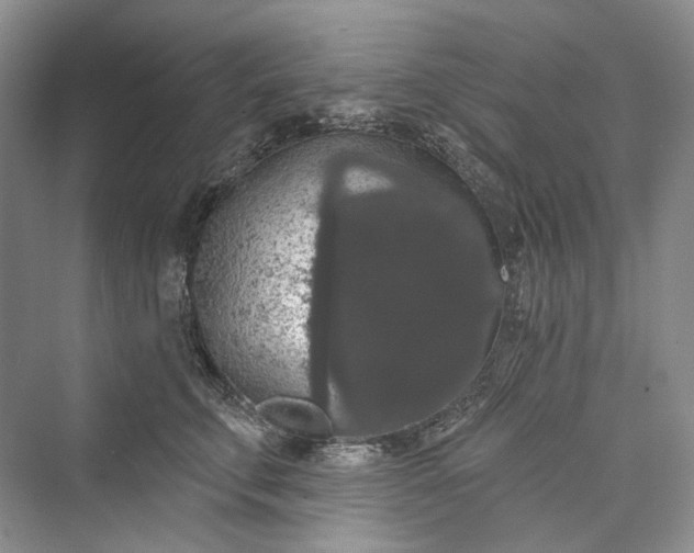 X0000073400711200608111259