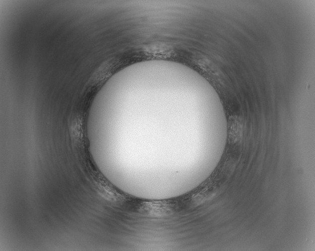 X0000073400713200608111259