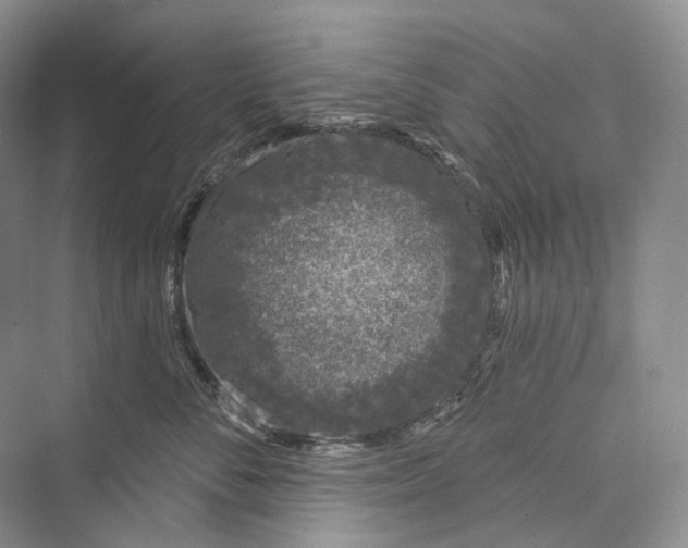 X0000073400716200608111259