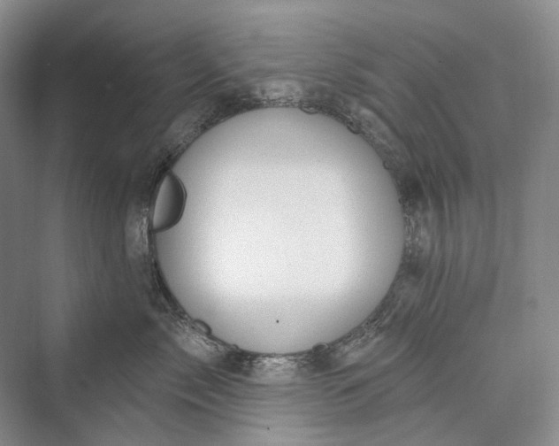 X0000073400717200608111259