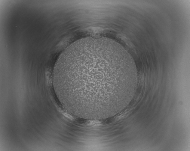 X0000073400719200608111259