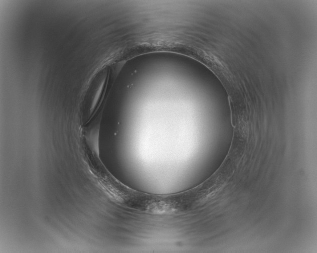 X0000073400735200608111258