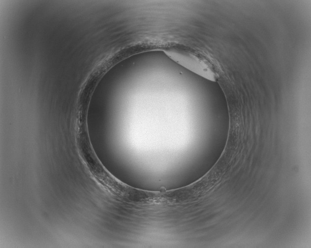 X0000073400736200608111258