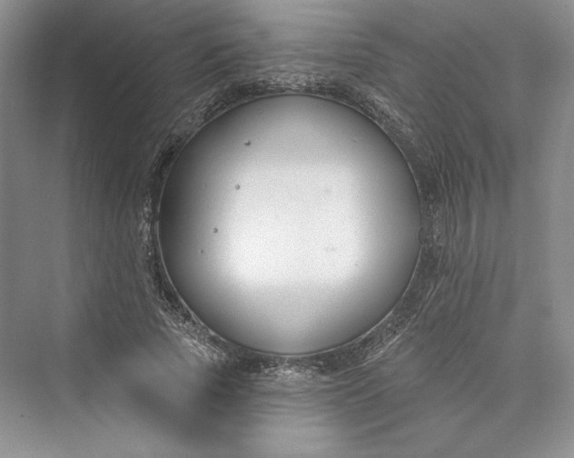 X0000073400737200608111258