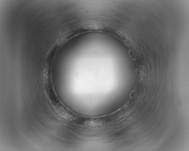 X0000073400739200608111258