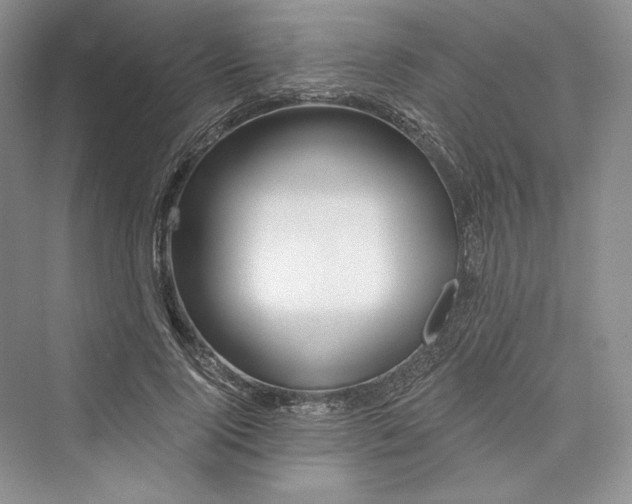 X0000073400740200608111258
