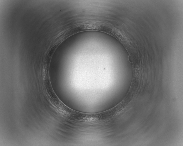 X0000073400741200608111258