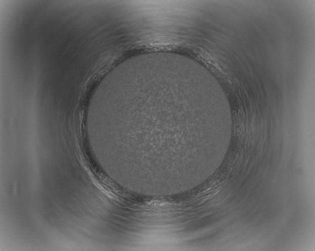 X0000073400742200608111258
